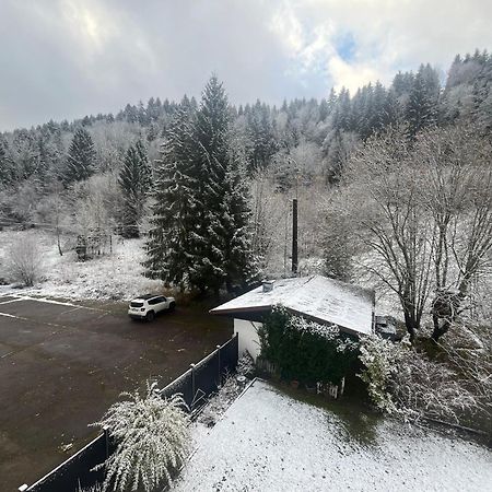 Studio Chalet Cosy Gerardmer Exterior photo
